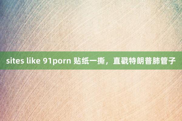 sites like 91porn 贴纸一撕,直戳特朗普肺管子