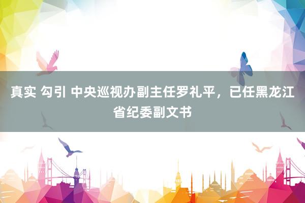 真实 勾引 中央巡视办副主任罗礼平,已任黑龙江省纪委副文书