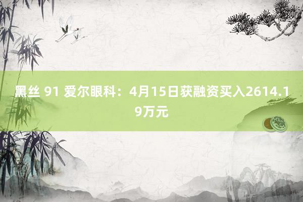 黑丝 91 爱尔眼科：4月15日获融资买入2614.19万元