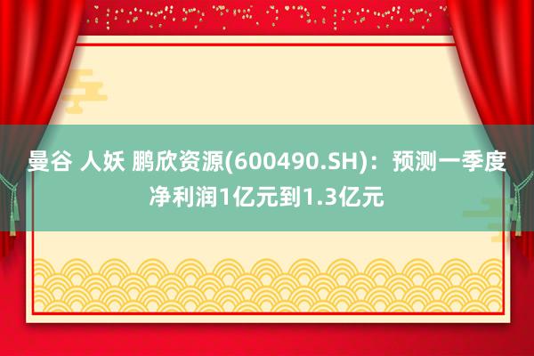 曼谷 人妖 鹏欣资源(600490.SH)：预测一季度净利润1亿元到1.3亿元