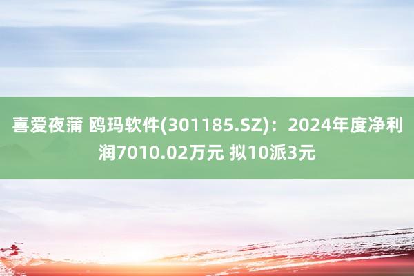 喜爱夜蒲 鸥玛软件(301185.SZ)：2024年度净利润7010.02万元 拟10派3元