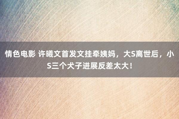 情色电影 许曦文首发文挂牵姨妈，大S离世后，小S三个犬子进展反差太大！