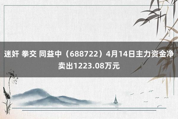 迷奸 拳交 同益中（688722）4月14日主力资金净卖出1223.08万元