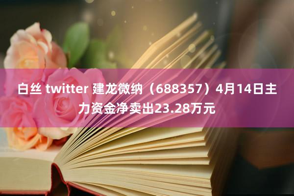 白丝 twitter 建龙微纳（688357）4月14日主力资金净卖出23.28万元