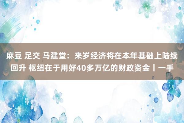 麻豆 足交 马建堂:来岁经济将在本年基础上陆续回升 枢纽在于用好40多万亿的财政资金丨一手