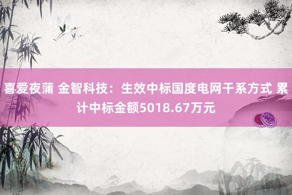 喜爱夜蒲 金智科技：生效中标国度电网干系方式 累计中标金额5018.67万元
