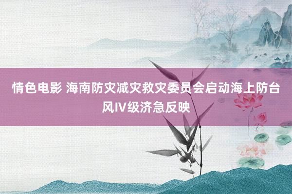 情色电影 海南防灾减灾救灾委员会启动海上防台风Ⅳ级济急反映