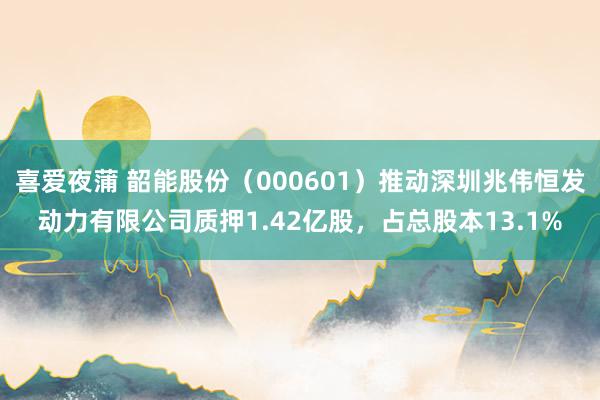 喜爱夜蒲 韶能股份(000601)推动深圳兆伟恒发动力有限公司质押1.42亿股,占总股本13.1%