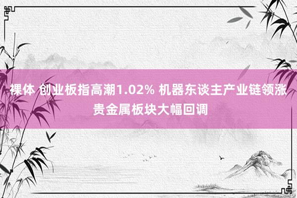 裸体 创业板指高潮1.02% 机器东谈主产业链领涨 贵金属板块大幅回调