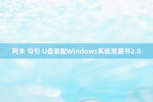 阿朱 勾引 U盘装配Windows系统泄漏书2.0